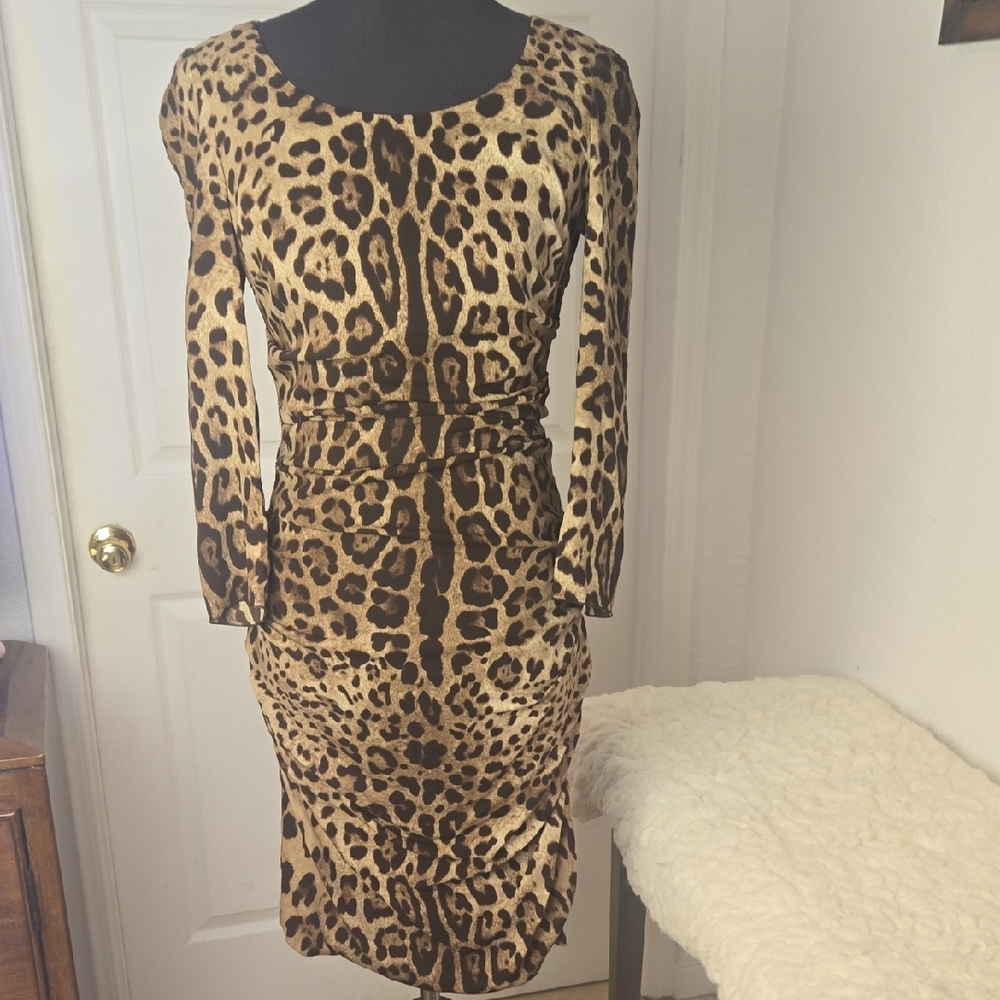 Dolce & Gabbana Animal Print Long Sleeve Dress
